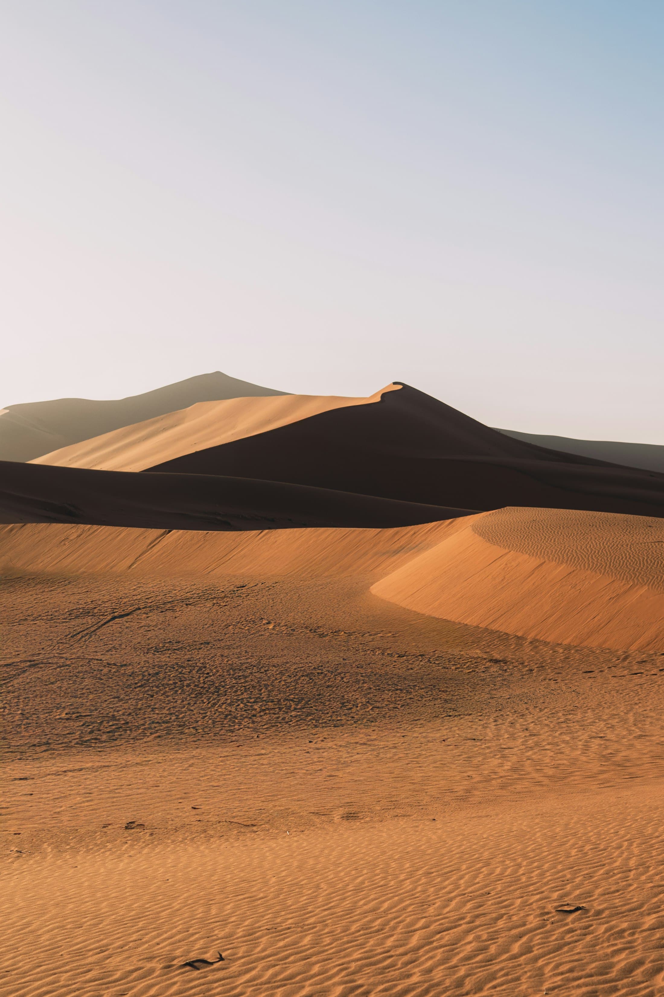 Layered golden dunes of the Namib under a pale sky